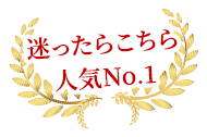 NEW当店人気No,1